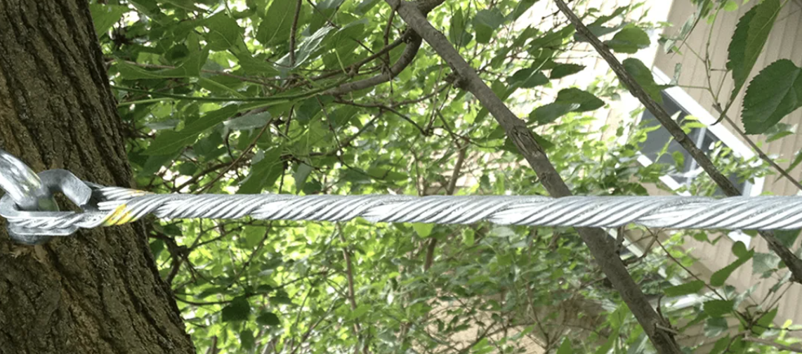 tree cabling in the chicagoland area3